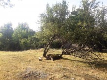 Satılır Torpaq, Qəbələ.ş-12