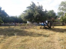 Satılır Torpaq, Qəbələ.ş-13