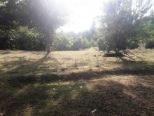 Satılır Torpaq, Qəbələ.ş-16