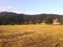 Satılır Torpaq, Qəbələ.ş-5