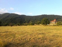 Satılır Torpaq, Qəbələ.ş-7