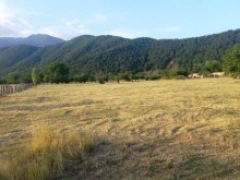 Satılır Torpaq, Qəbələ.ş-9