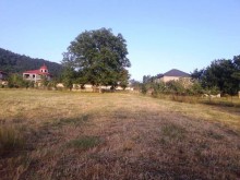 Satılır Torpaq, Qəbələ.ş-11