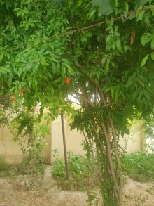 Satılır Həyət evi, Xəzər.r, Mərdəkan-5