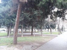 Satılır Köhnə Tikili, Binəqədi.r, 7-ci mikrorayon, Azadlıq.m-2