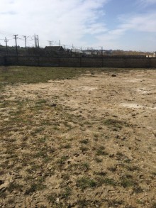 Satılır Torpaq, Abşeron.r, Novxanı-4