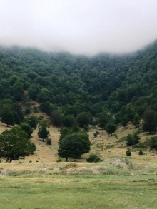 Satılır Torpaq, İsmayıllı.ş-2