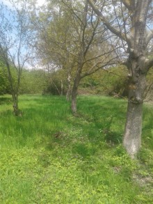 Satılır Torpaq, Qəbələ.ş-4