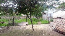 Satılır Torpaq, Qəbələ.ş-4