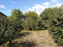 Satılır Torpaq, Qəbələ.ş-12