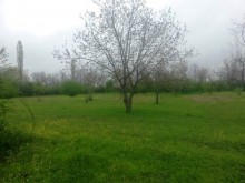 Satılır Torpaq, Qəbələ.ş-8