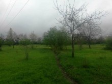Satılır Torpaq, Qəbələ.ş-10