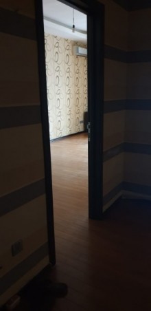 Kirayə (Aylıq) Yeni Tikili, Nəsimi.r, 28 May.m-10