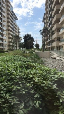 Kirayə (Aylıq) Yeni Tikili, Səbail.r, 28 May.m-6