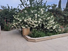 Kirayə (Aylıq) Həyət evi, Abşeron.r, Mehdiabad-12