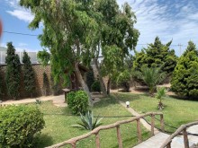 Satılır Həyət evi, -8