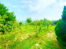 Satılır Villa, Xəzər.r, Mərdəkan-16