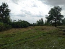 Satılır Torpaq, Qəbələ.ş-8