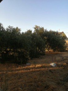 Satılır Torpaq, Xəzər.r, Şağan-1
