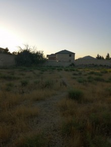 Satılır Torpaq, Xəzər.r, Şağan-5