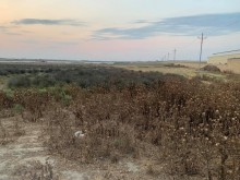 Satılır Torpaq, Abşeron.r, Mehdiabad-8