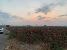 Satılır Torpaq, Abşeron.r, Mehdiabad-9