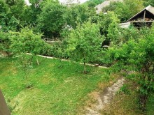 Kirayə (Aylıq) Həyət evi, Qəbələ.ş-2