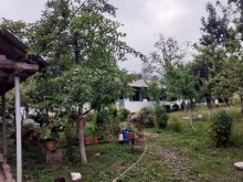 Kirayə (Aylıq) Həyət evi, Qəbələ.ş-3