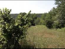 Satılır Torpaq, Qəbələ.ş-1