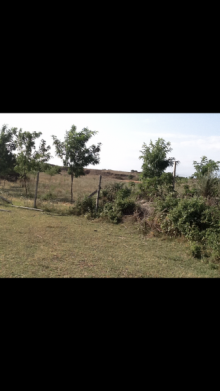 Satılır Torpaq, Qəbələ.ş-8