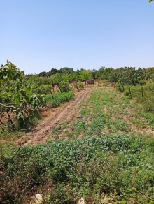 Satılır Torpaq, Sabunçu.r, Maştağa-1