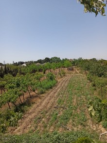 Satılır Torpaq, Sabunçu.r, Maştağa-2