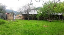 Satılır Həyət evi, Qəbələ.ş-5