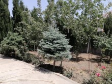 Satılır Həyət evi, Abşeron.r, Masazır-6
