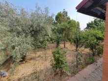 buzovnada heyet evi elanlari, -19