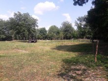 Satılır Torpaq, Qəbələ.ş-4