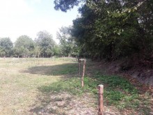 Satılır Torpaq, Qəbələ.ş-5