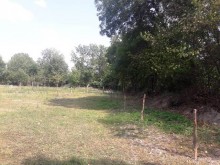 Satılır Torpaq, Qəbələ.ş-13