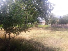 Satılır Torpaq, Qəbələ.ş-3