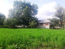 Satılır Torpaq, Qəbələ.ş-9