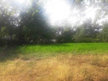 Satılır Torpaq, Qəbələ.ş-14
