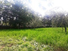 Satılır Torpaq, Qəbələ.ş-15