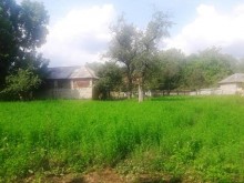 Satılır Torpaq, Qəbələ.ş-18