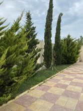 şağanda münasib evlər, -14