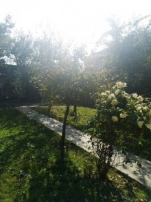 Satılır Həyət evi, Qəbələ.ş-3