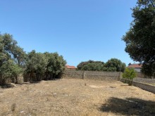 Satılır Torpaq, Xəzər.r, Mərdəkan, Koroğlu.m-3