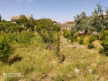 Satılır Torpaq, Abşeron.r, Novxanı-7