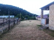 Satılır Həyət evi, Qəbələ.ş-10