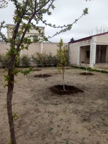 Satılır Həyət evi, Xəzər.r, Mərdəkan, Koroğlu.m-15