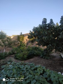 Satılır Həyət evi, Suraxanı.r, Hövsan-17